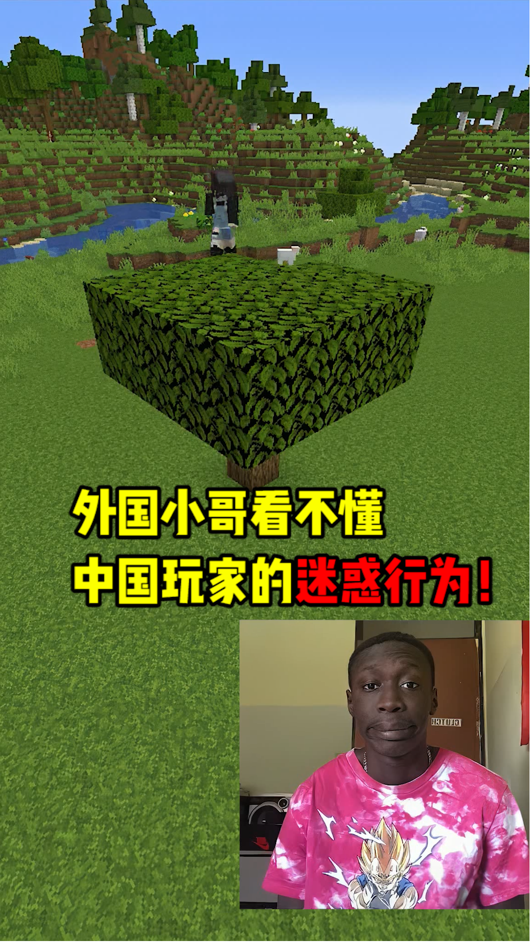 我的世界#我的世界:外国小哥看不懂中国玩家的迷惑行为!