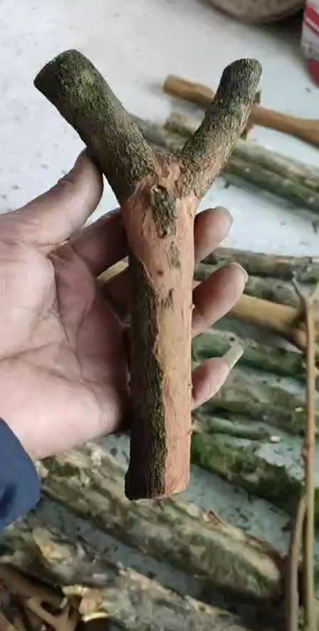 这个树叉现在不好找了