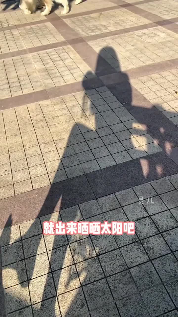 这个夏天,要不要和我一起晒晒太阳,吹吹晚风?