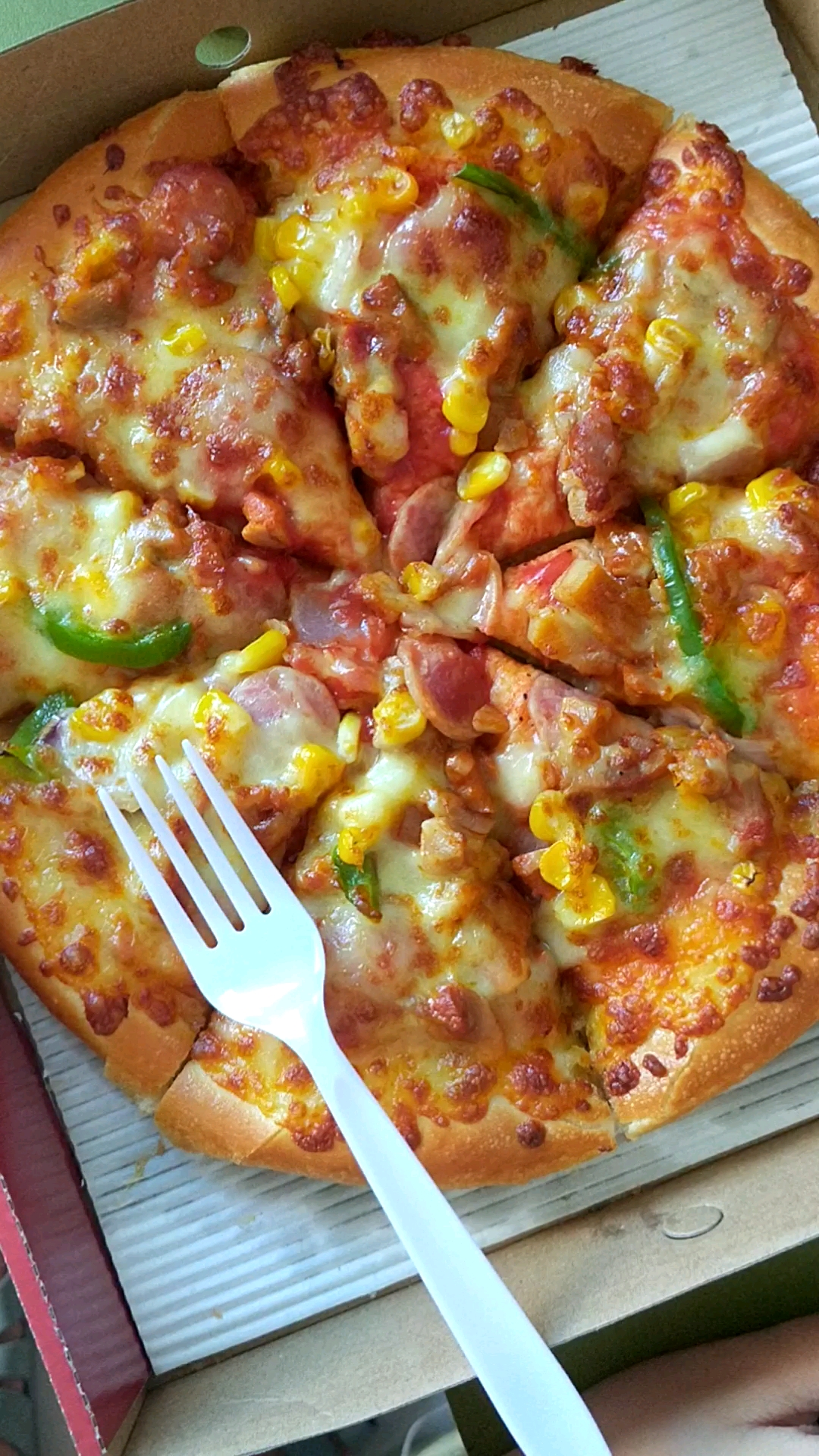 宅在家里拍照片#我的宝贝花了30元买的披萨.