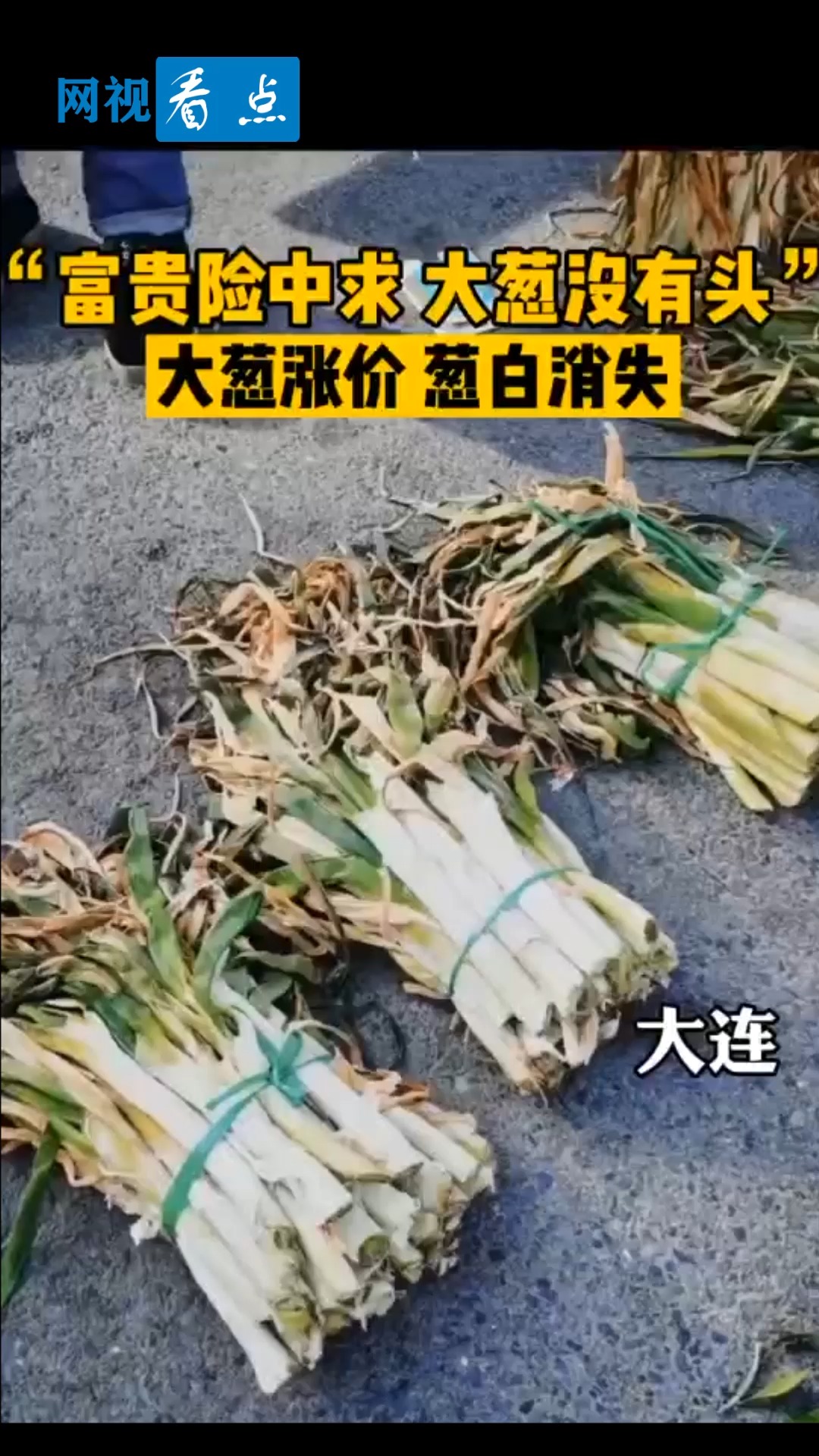 全民正能量#"富贵险中求,大葱没有头"大葱涨价,葱白消失