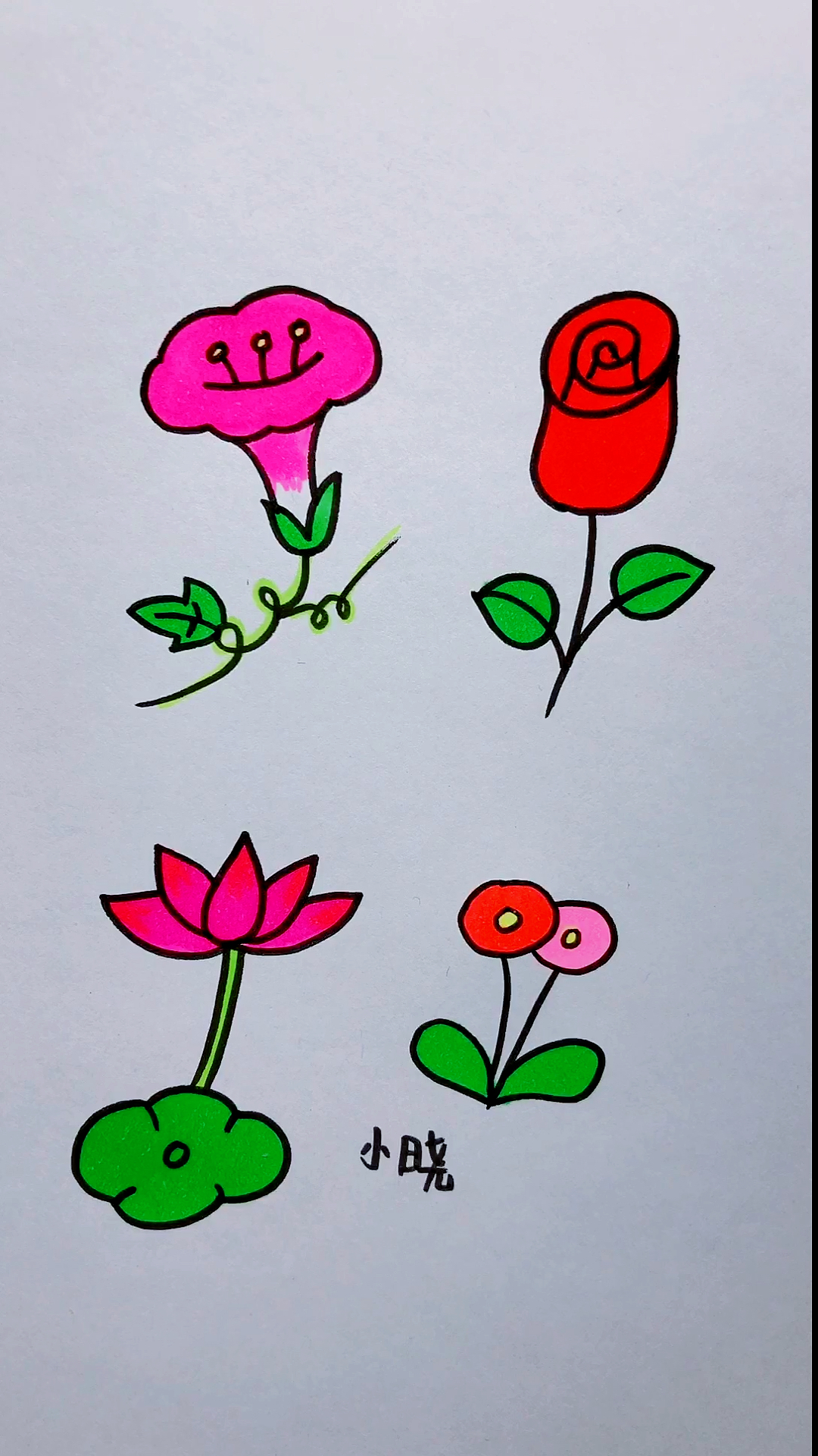 画画原来如此简单#简笔画花朵  都有什么花呢?
