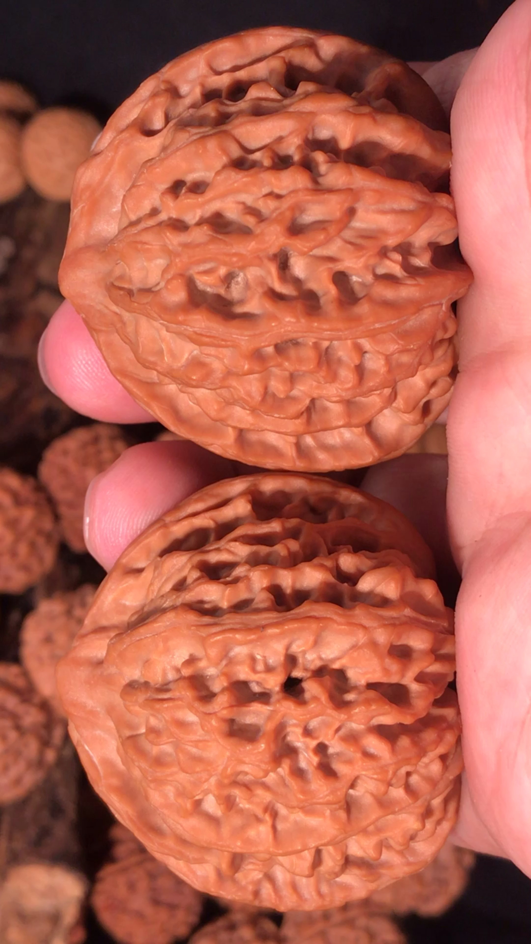 文玩核桃,44尺寸的野生灯笼