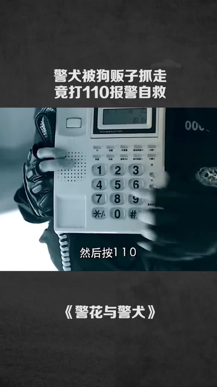 警犬被狗贩子抓走竟打110自救