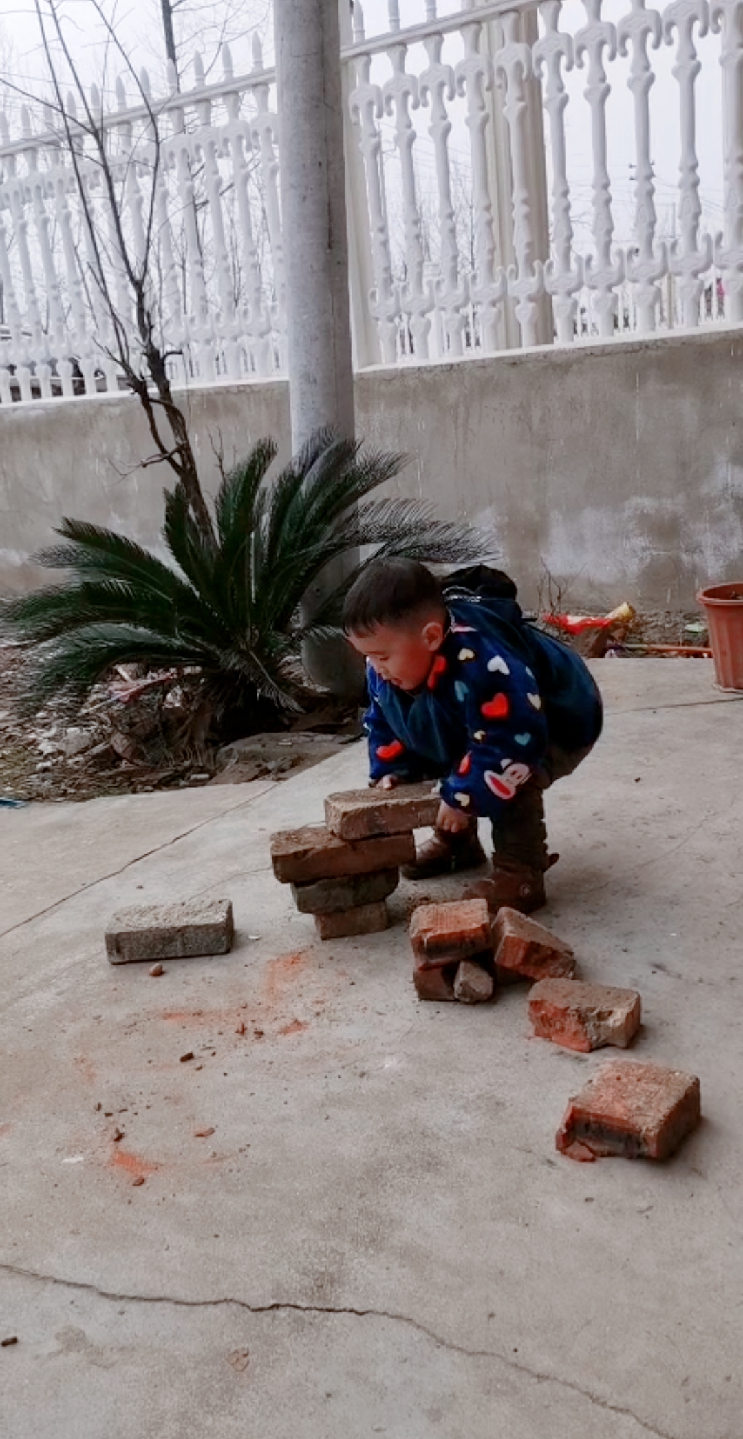 小度放映厅·萌娃才艺秀#无聊搬砖小朋友