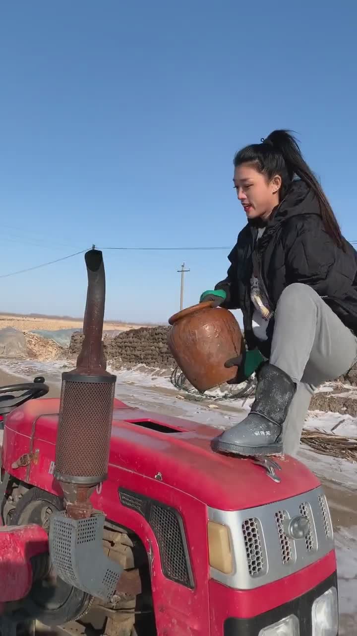 东北霸道女汉子 (104)