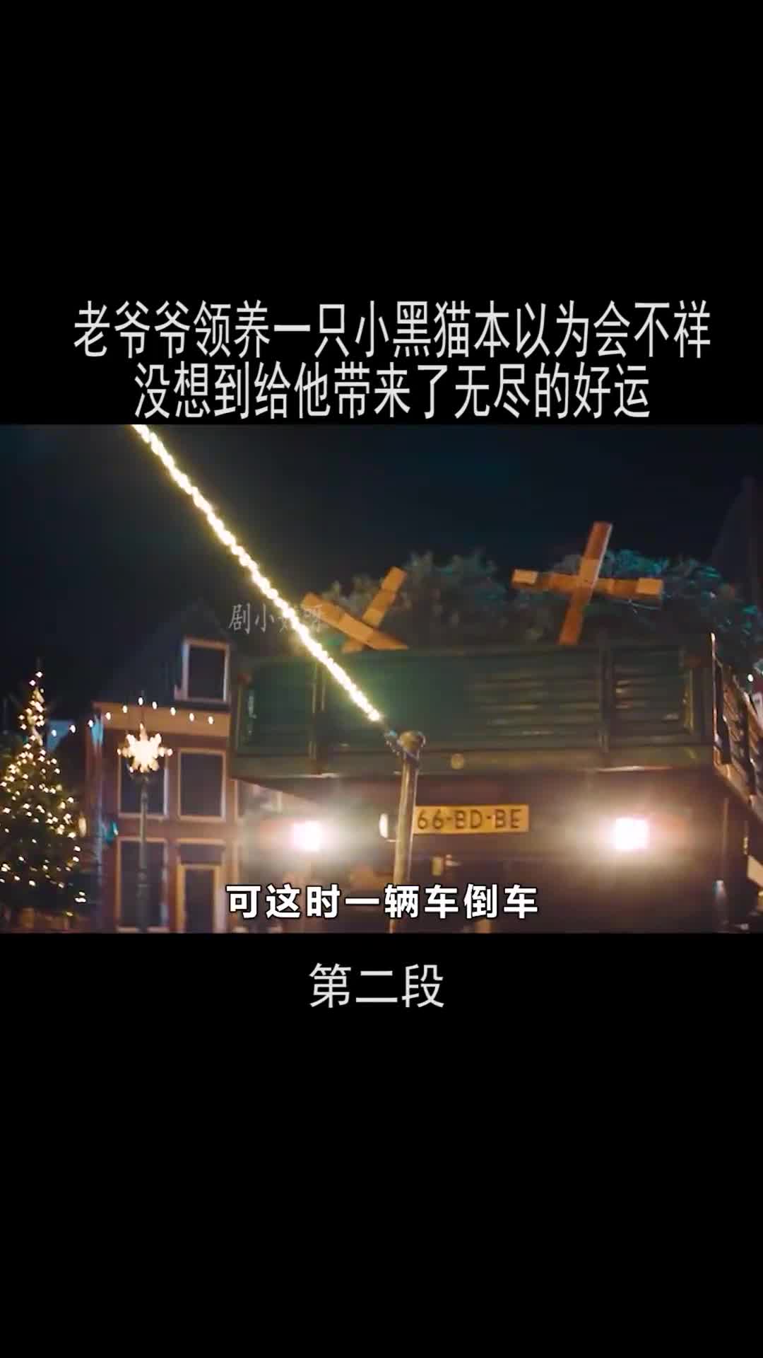 我要上热门#老爷爷领养一只小黑猫本以为会不祥,没想到给他带来了