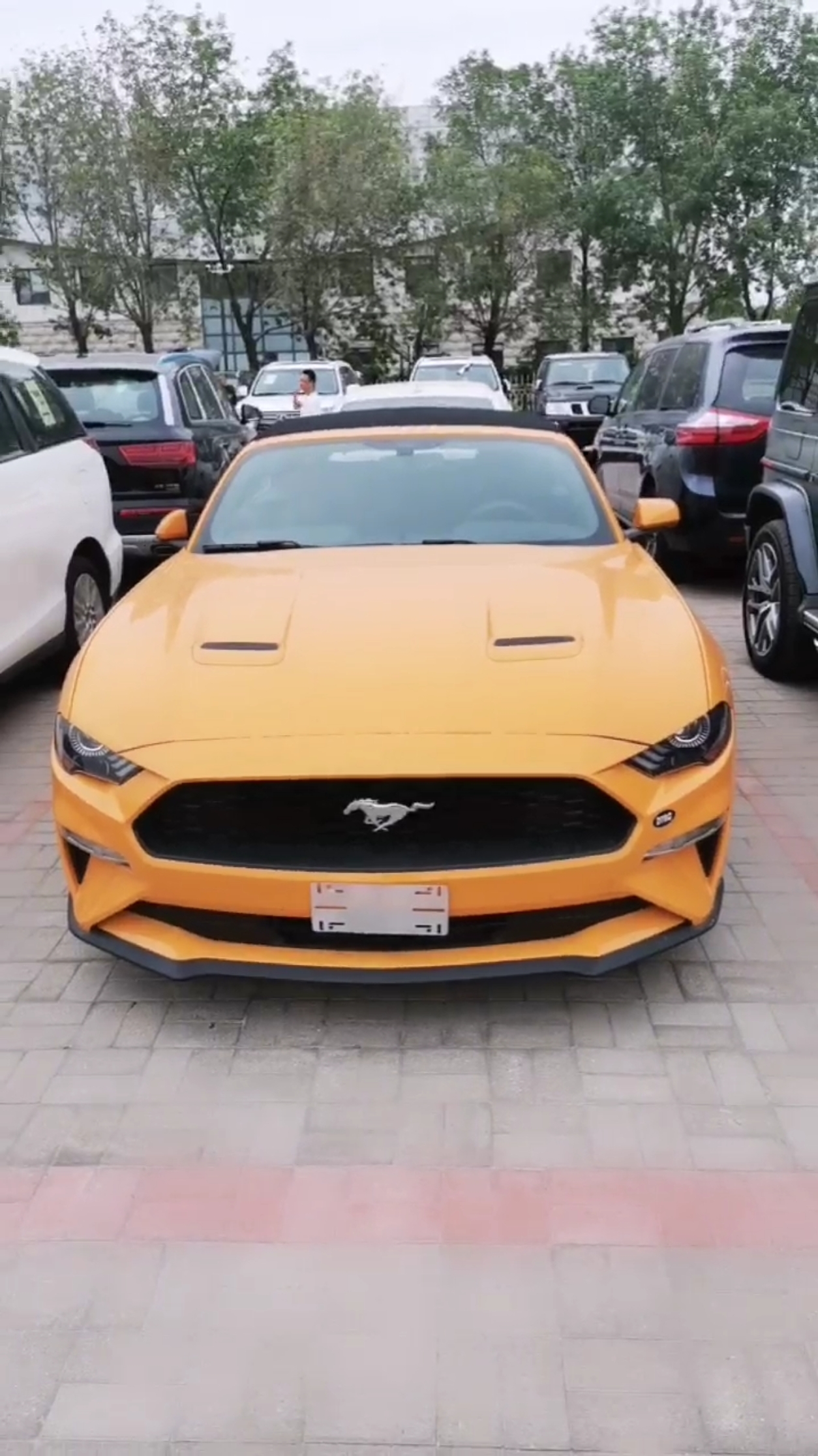 撩妹神器,小野马2.3丅