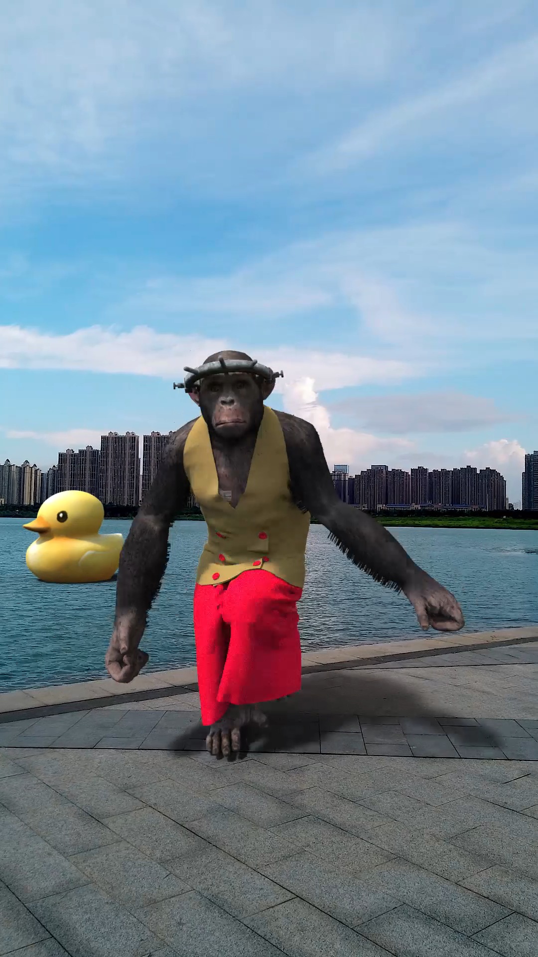 广场舞#大猩猩广场舞时装秀