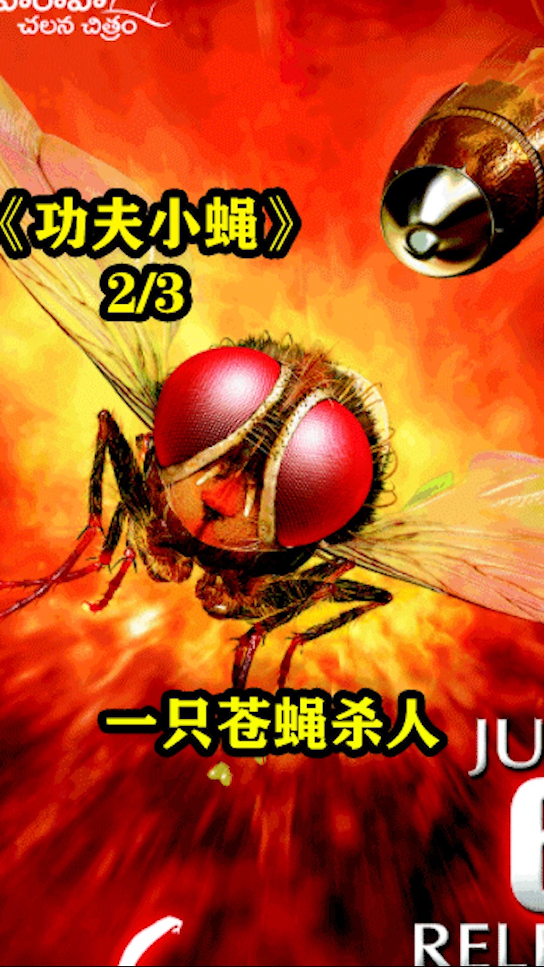 电影解说#苍蝇可以搞到你家破人亡,印度喜剧神片《功夫小蝇》