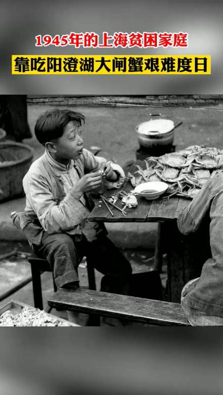 奇闻趣事#以前的上海贫困家庭,靠吃阳澄湖大闸蟹填饱肚子!