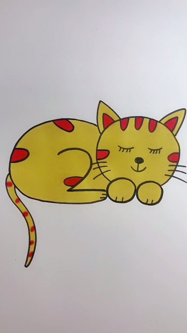 零基础学画画,漂亮的猫咪