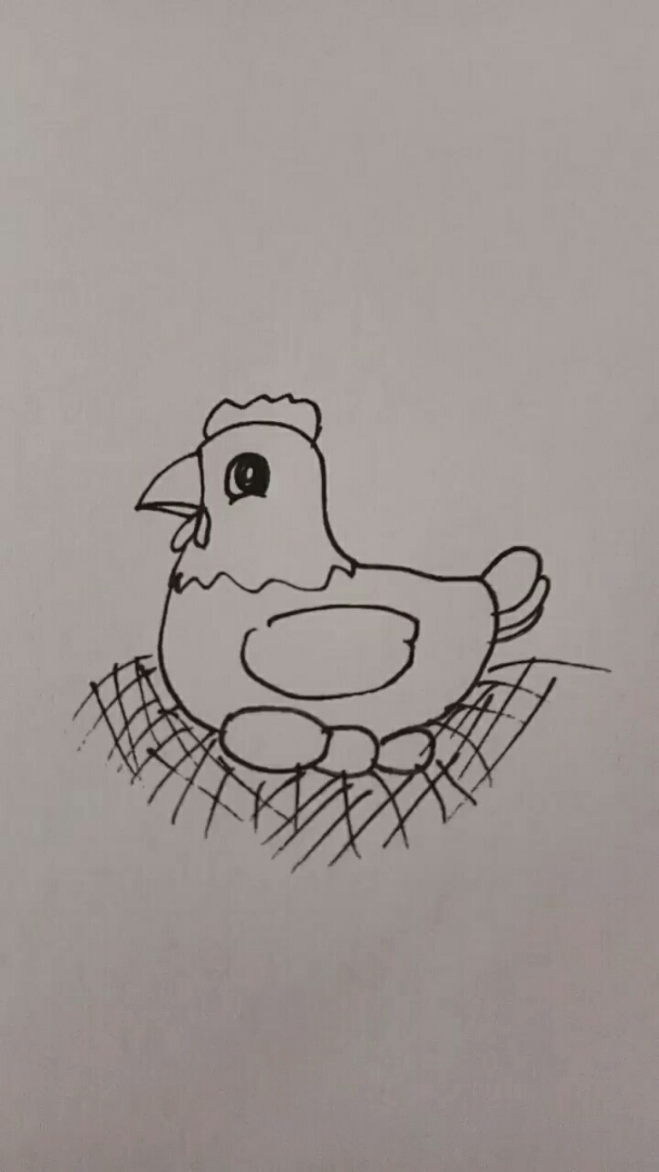 母鸡孵蛋的简笔画图片图片