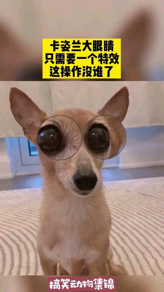 卡姿兰大眼睛,只需要一个特效,这操作没谁了