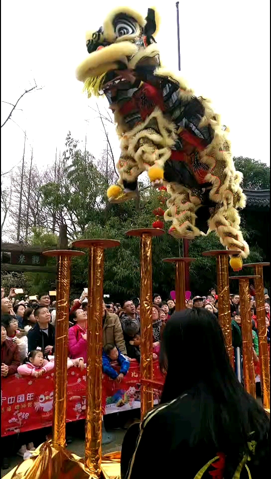 舞狮梅花桩上配合完美