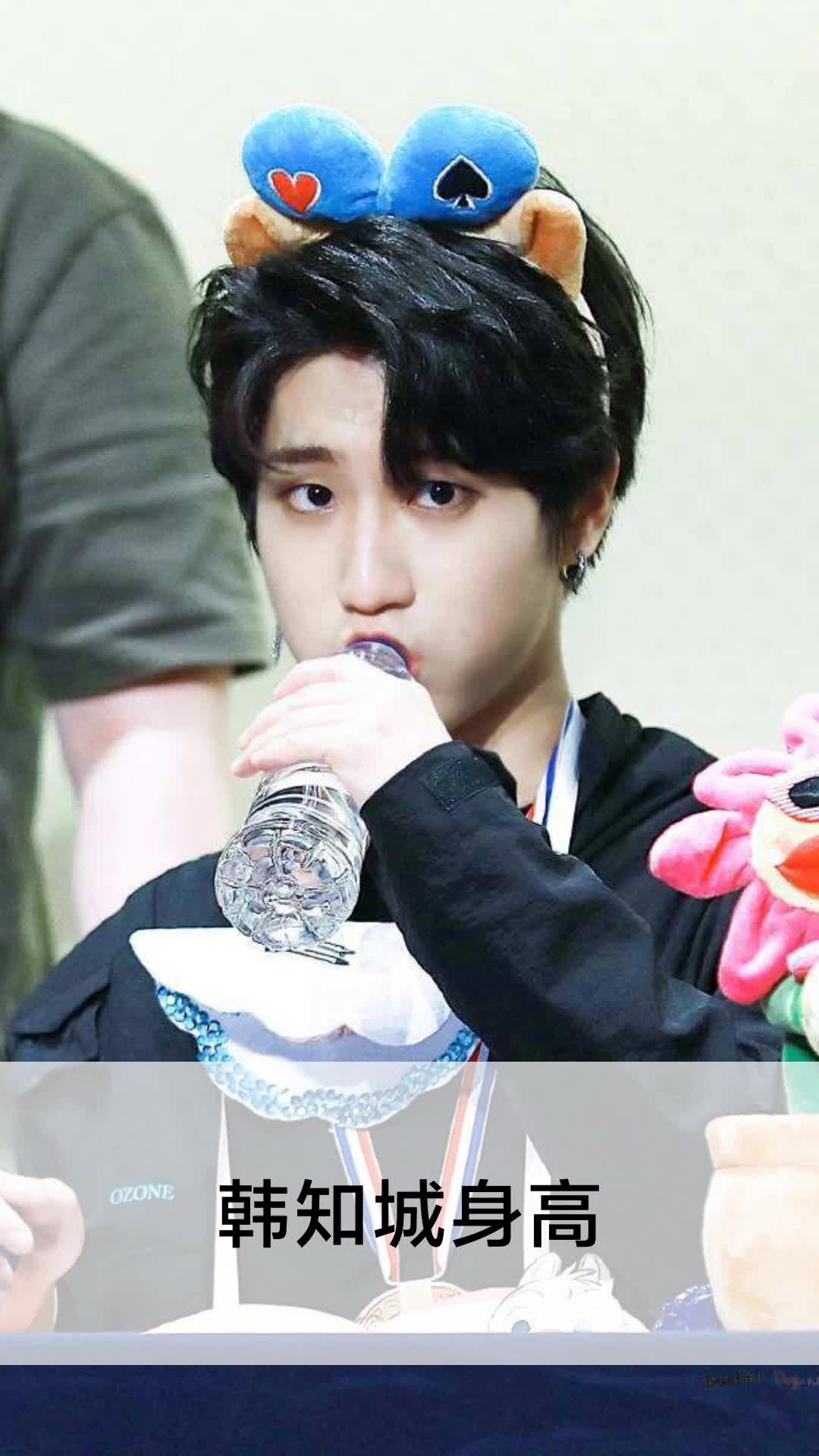 韩知城身高