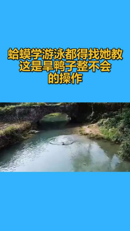 我要上热门#蛤蟆学游泳都得找她教,这是旱鸭子整不会的操作
