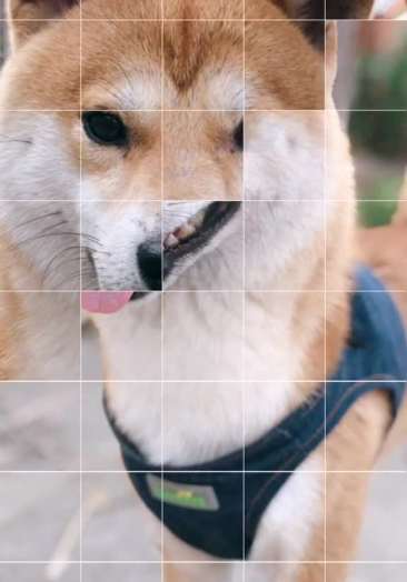 泰州海陵区找美女小妹真实上门服务薇11681667任