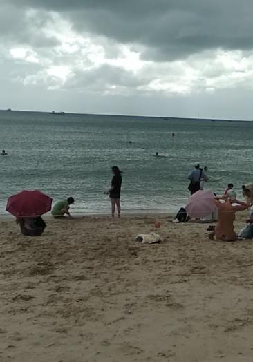 人文时尚运动时事更多回到顶部三亚大东海哪里找美女上门特殊服务【微