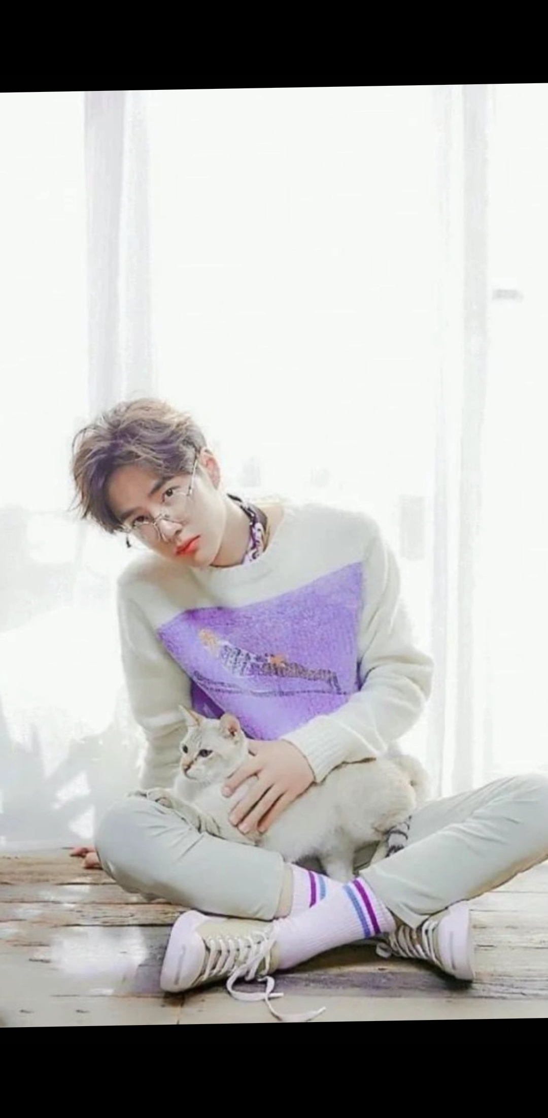 王一博#没事捋猫咪的一博,见没见过呢?