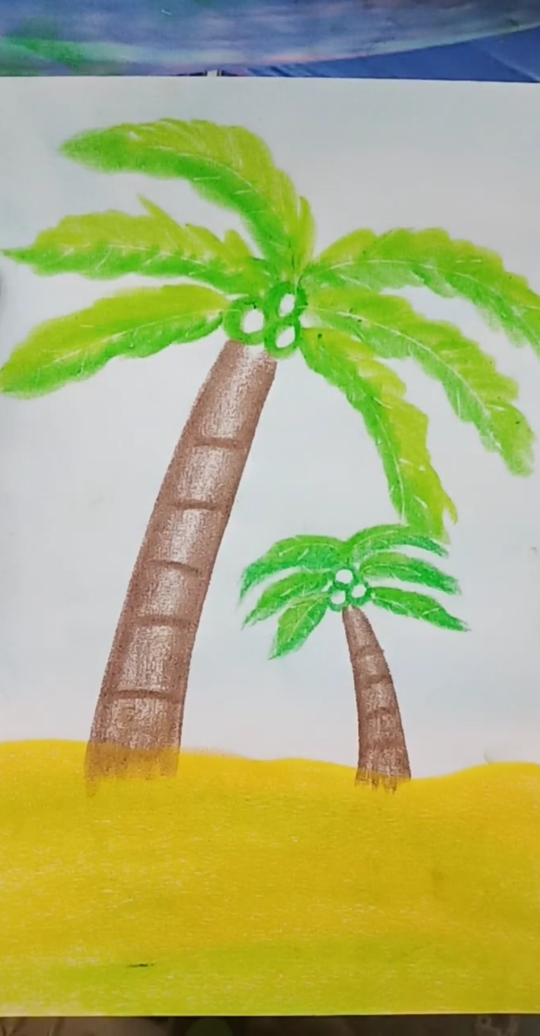 椰子树涂色画图片大全图片