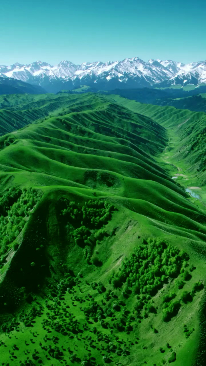 旅游进行时#养眼的绿色送给你们