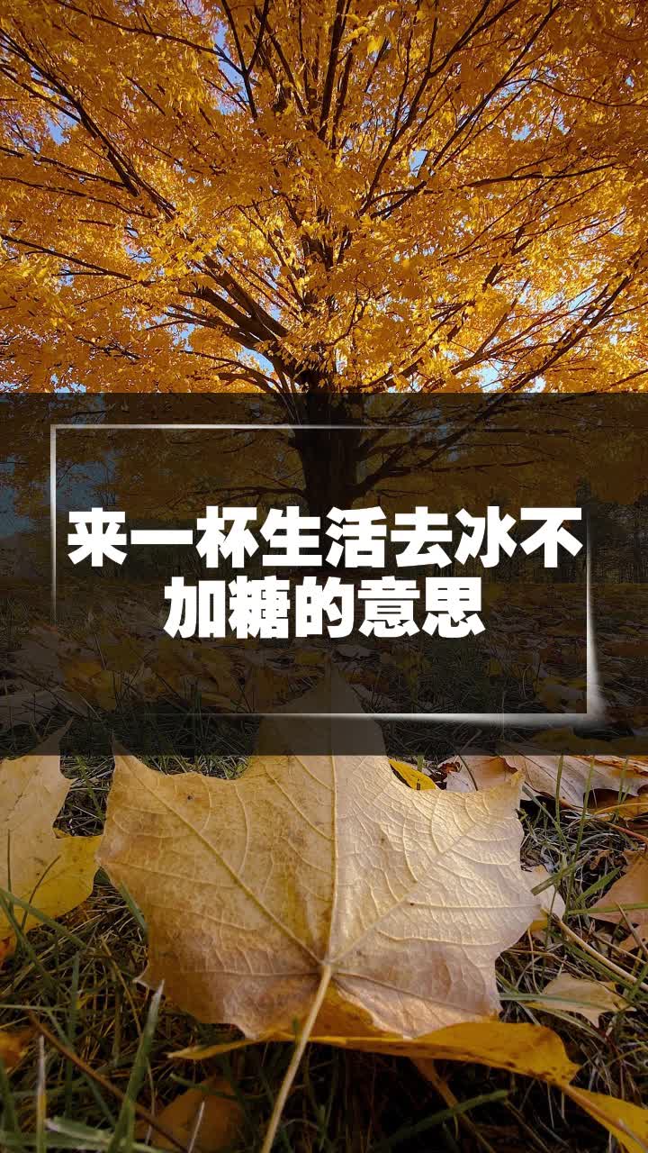 来一杯生活去冰不加糖的意思