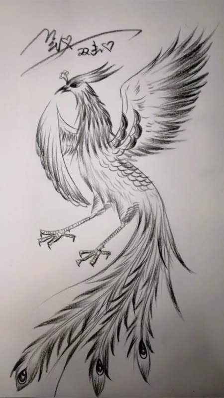 教你画一只凤凰,是不是很简单呢?-度小视