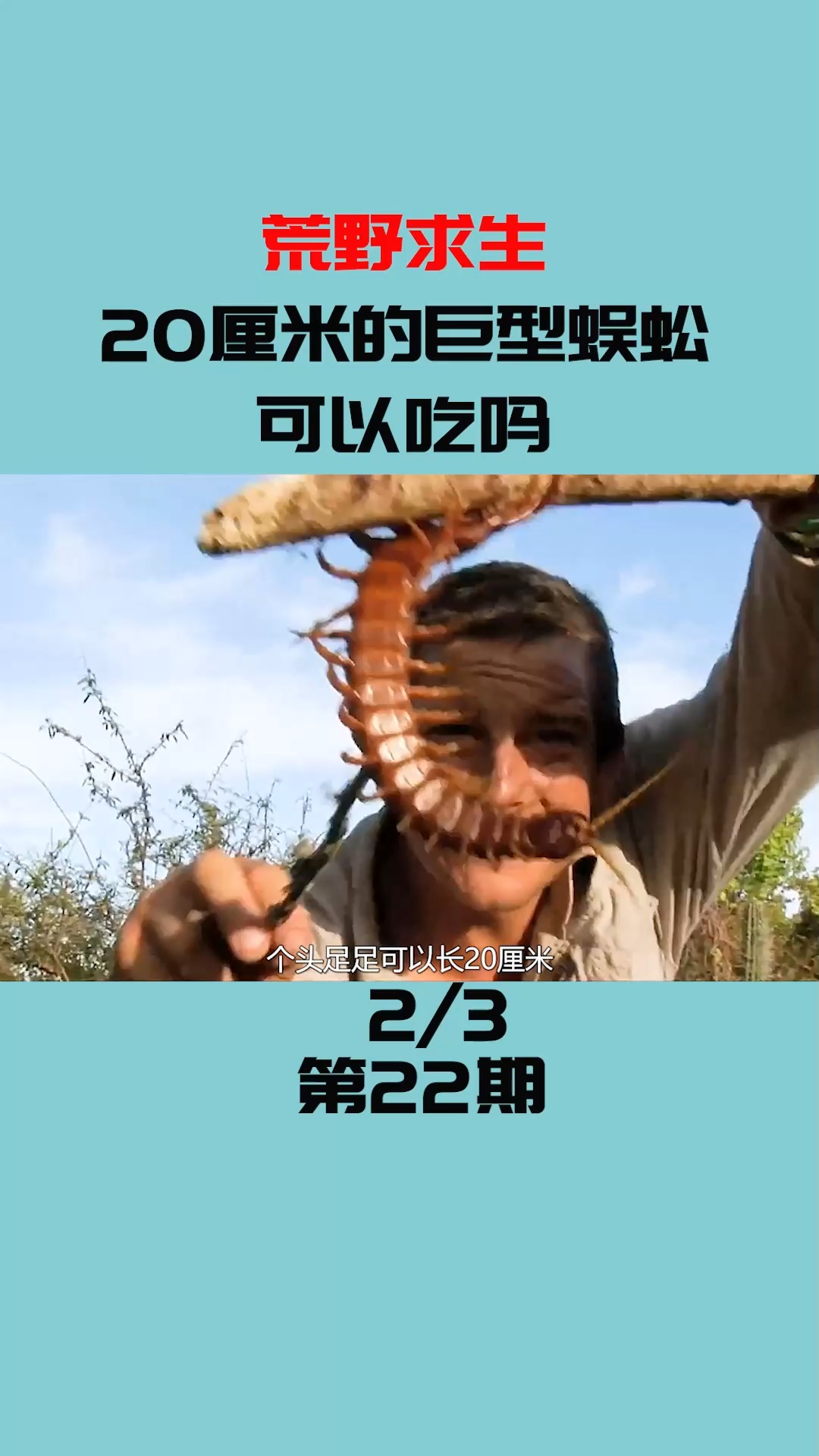 荒野求生#贝爷看到20厘米长的蜈蚣,直流口水,荒野求生纪录片