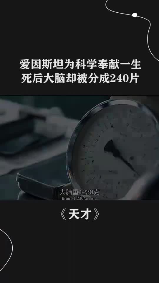 爱因斯坦为科学奉献一生,死后大脑却被分成240片
