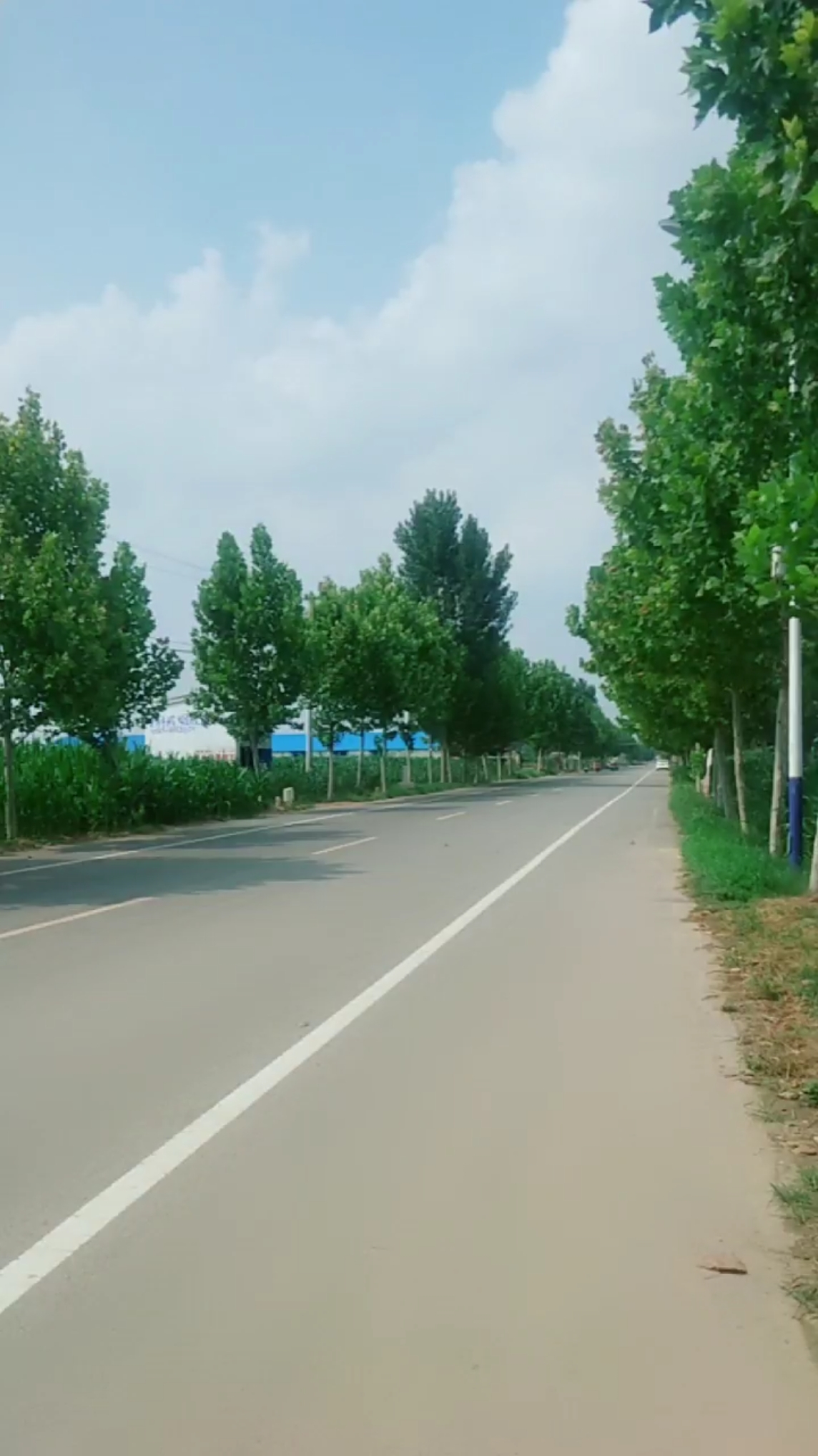 全民特效师#炎热的夏天,路上行人很少