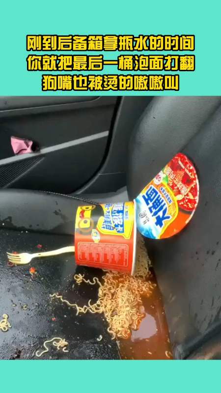 刚到后备箱拿瓶水的时间你就把最后一桶泡面打翻,狗嘴也被烫的嗷嗷叫