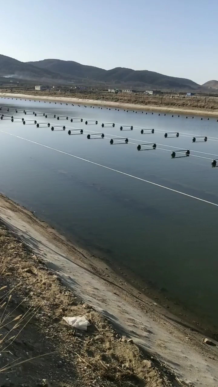 海参圈安装遮阳网和网箱