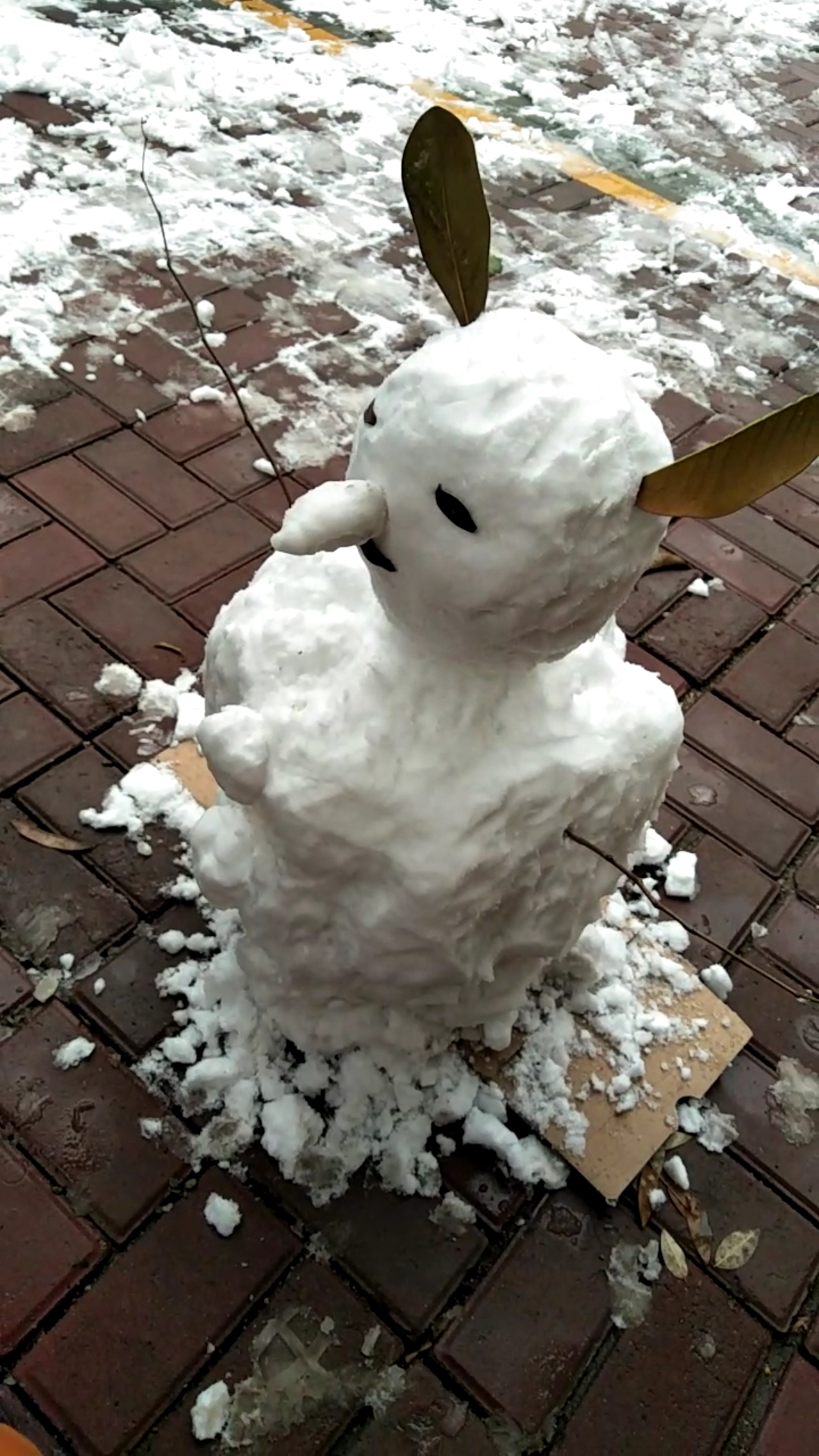 北方的冬天#走堆雪人打雪仗去吧!