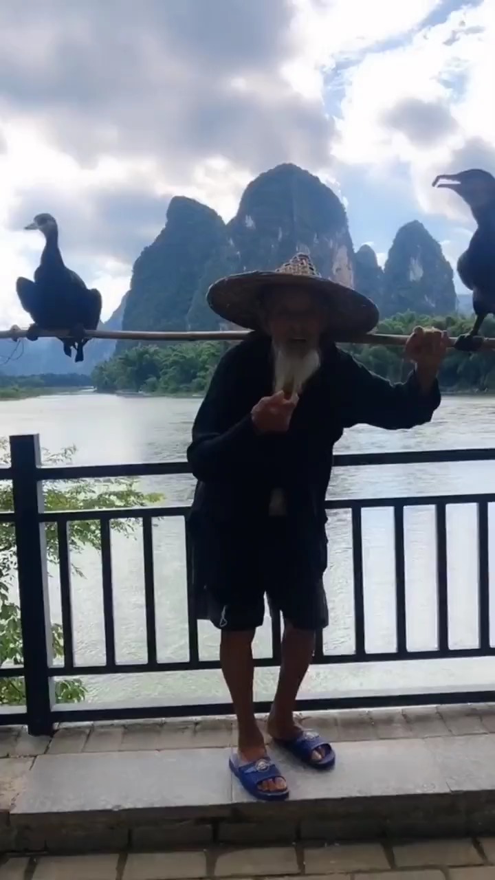 我要上热门#这是二十元人民币背景上的鸬鹚老爷爷,已经95岁高龄都