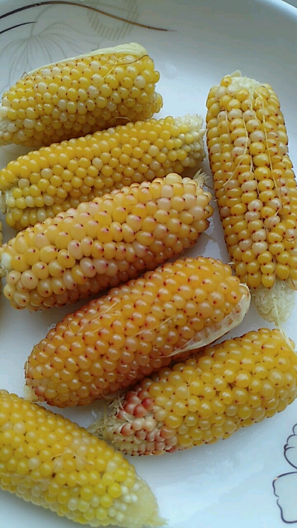 这就是传说中的草莓玉米