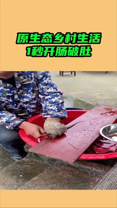 我要上热门原生态乡村生活,1秒开肠破肚