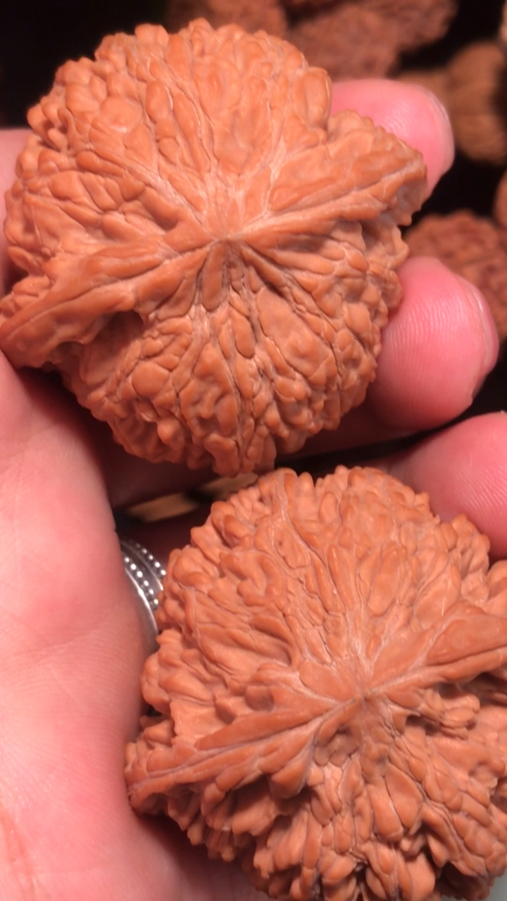 文玩核桃,全品无修的一对和尚头