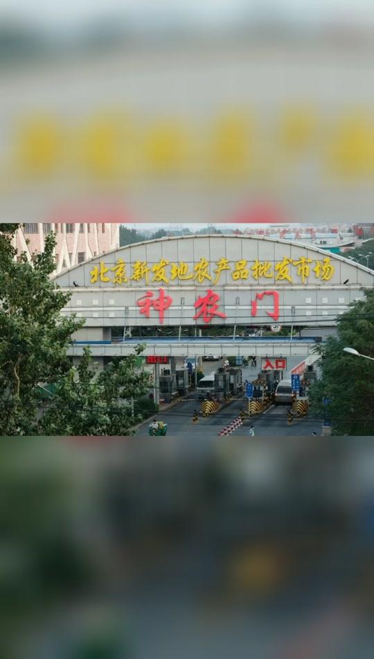 从业人员及环境中检出新冠病毒核酸阳性 北京新发地批发市场暂时休市