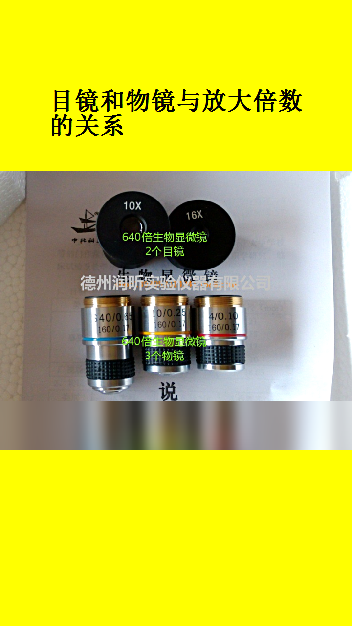 目镜和物镜与放大倍数的关系