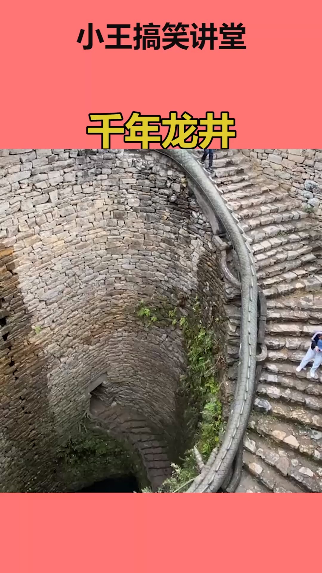 千年龙井惊游人,你震撼了吗