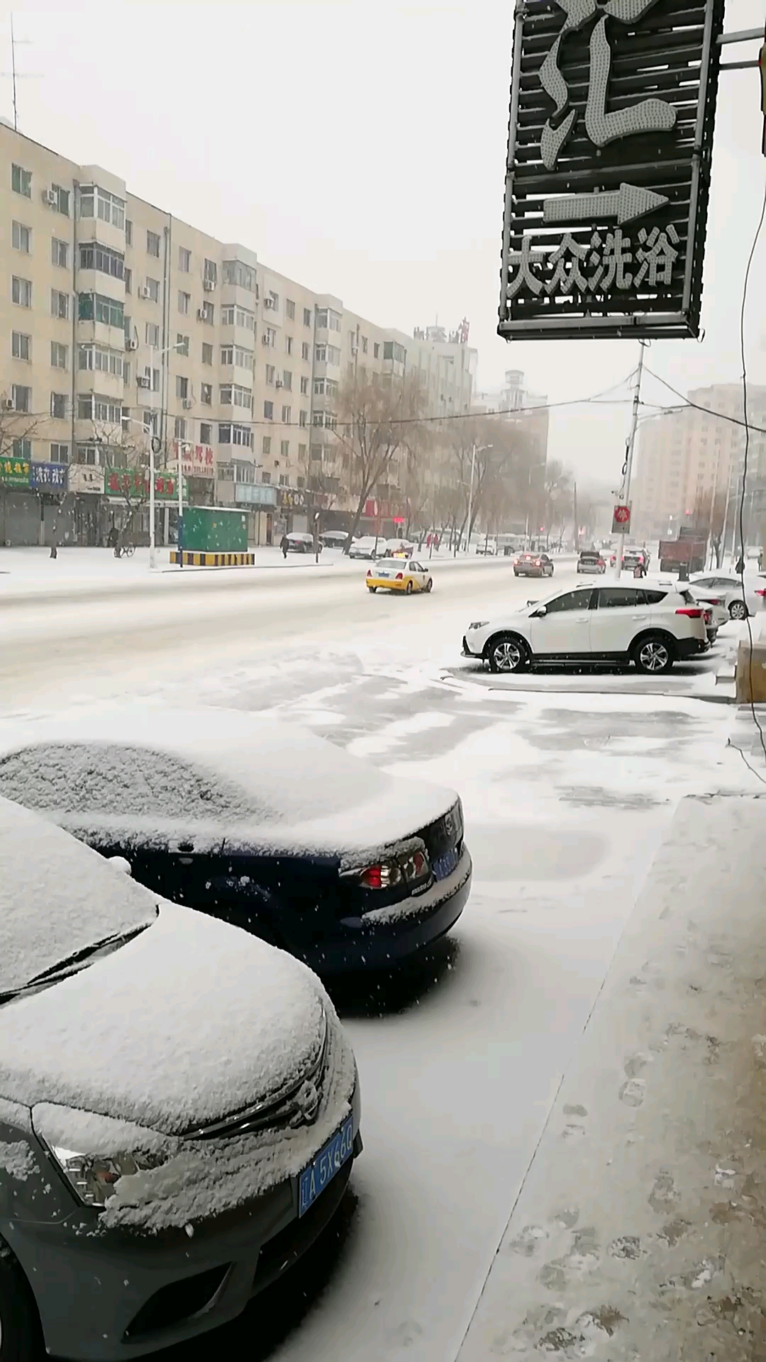 春天竟下起了大雪^^聚焦沈阳