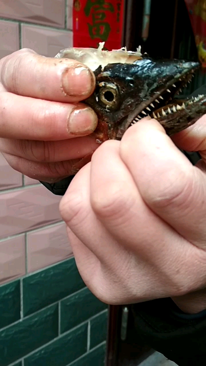 这种大海深鱼,吃过的没多少人!