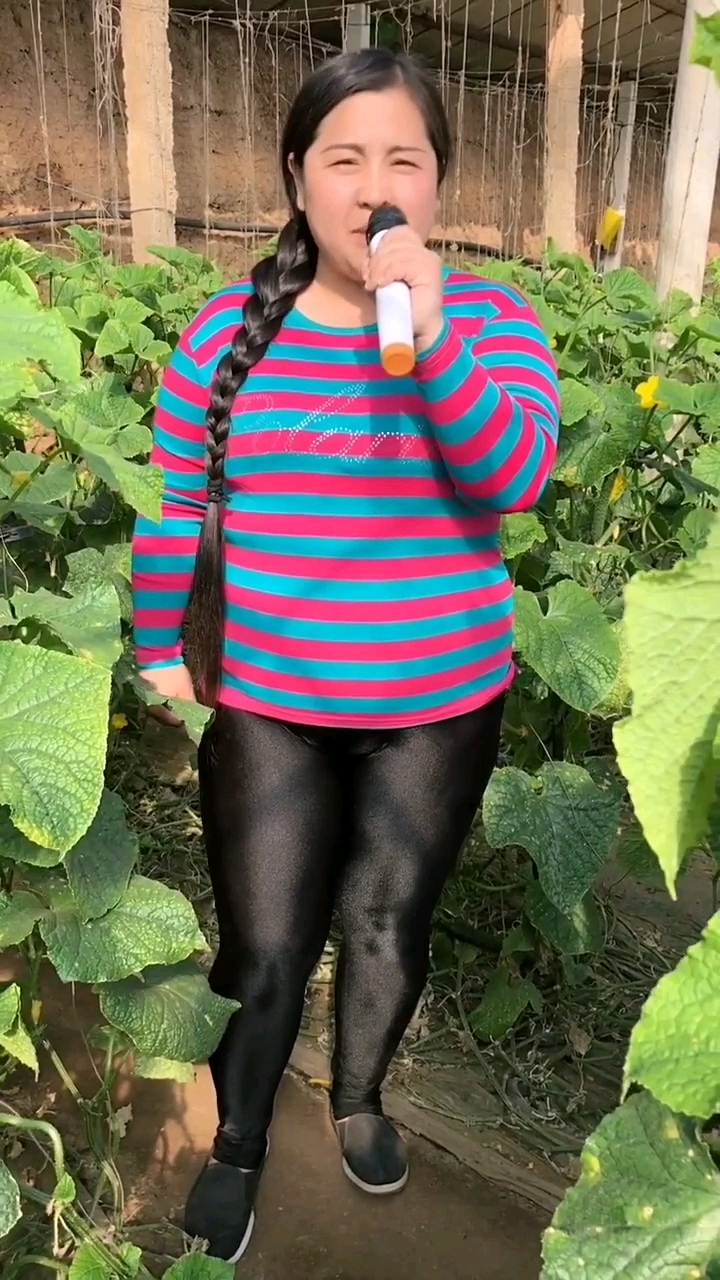 大棚里滴胖娘们