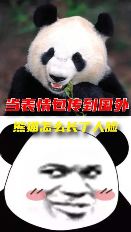 熊猫头发出你手机里的熊猫表情包