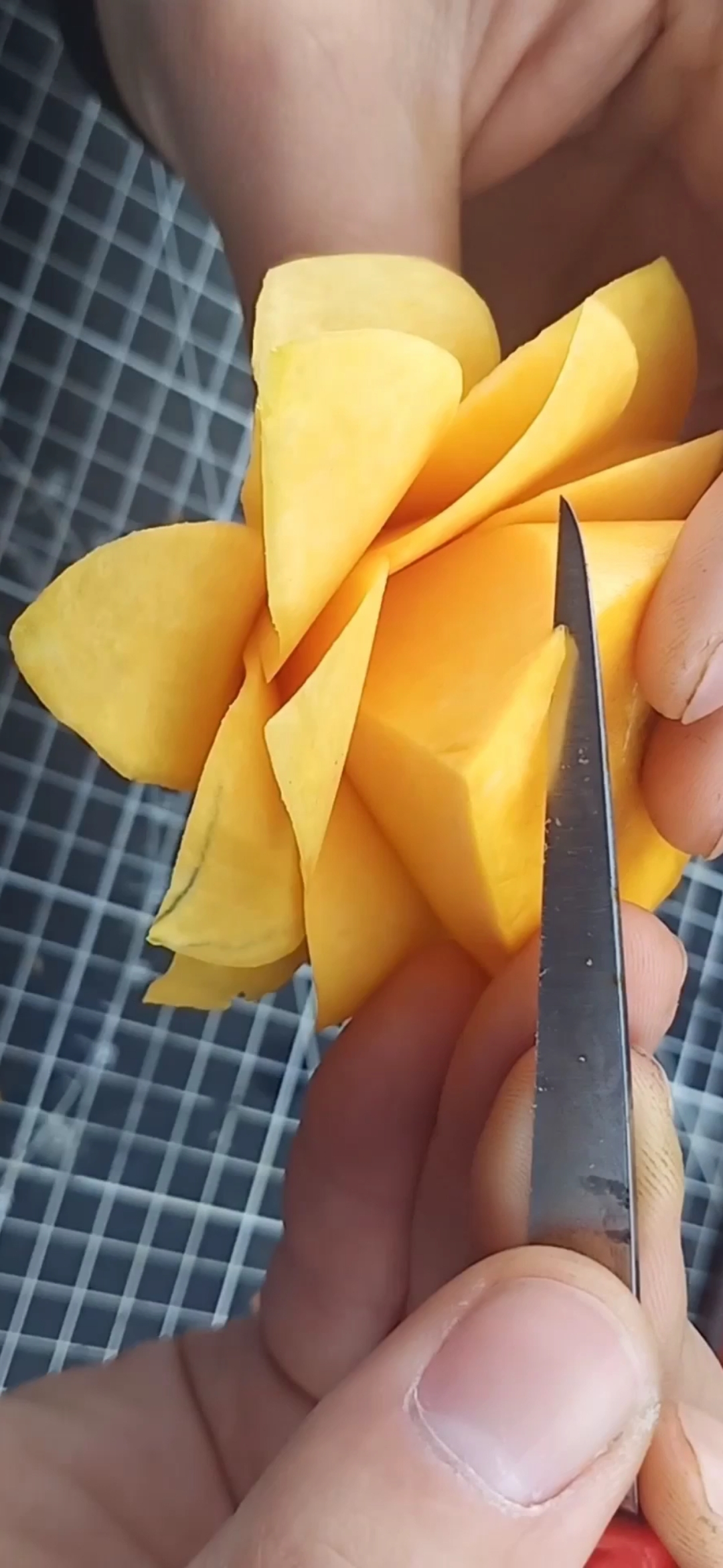 食品雕刻～大丽花高清视频教程!97-度小视