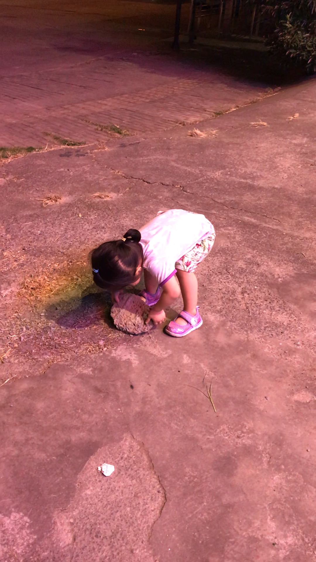 家有二胎#  搬石头砸自己的脚