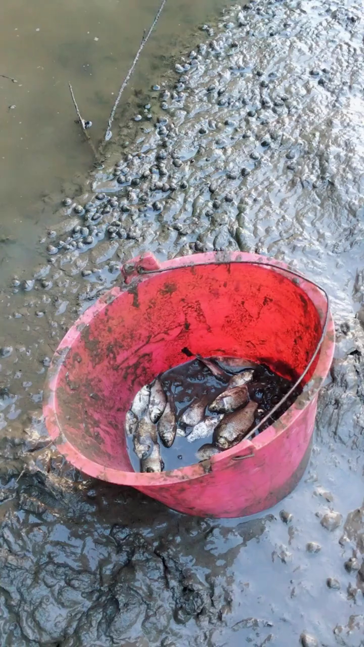 抽水抓鱼,童年乐趣