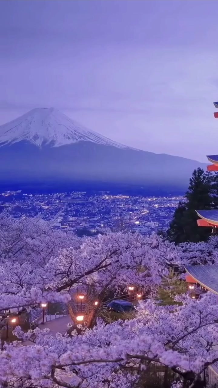 樱花树下的日本富士山美景这景色太美了