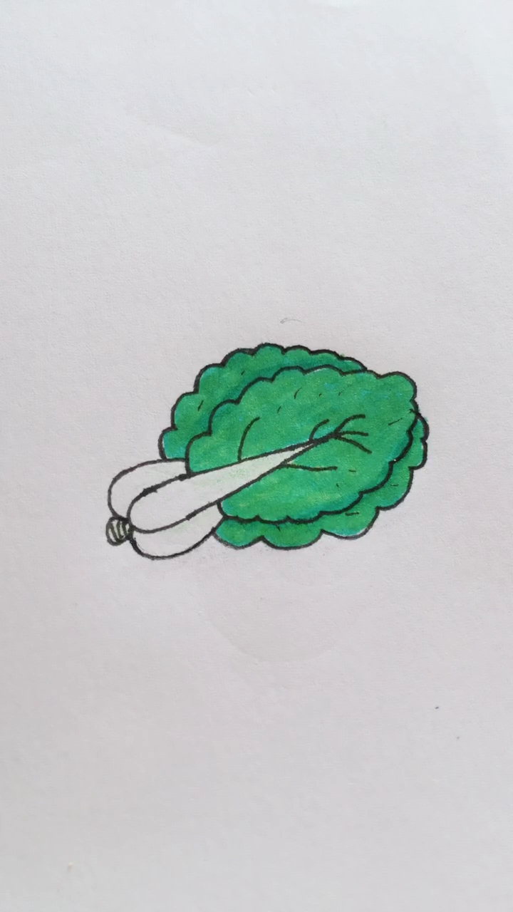 小白菜简笔画 简单图片